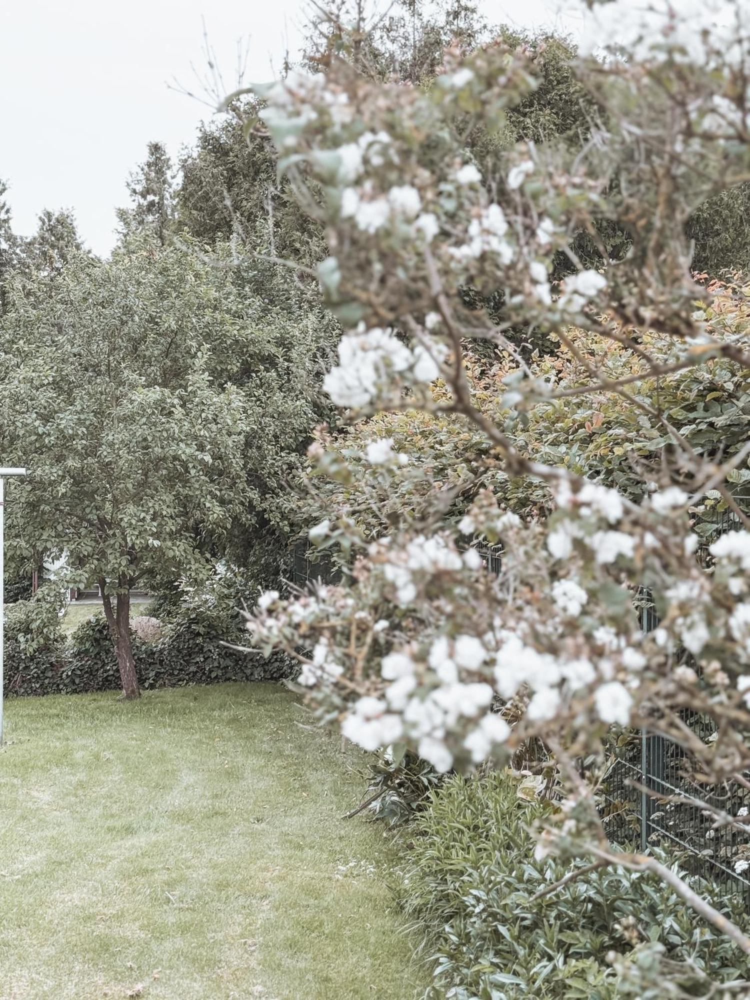 Bohemian Suite - Detmold Bagian luar foto